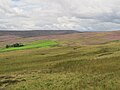 Thumbnail for File:Stanhope Common - geograph.org.uk - 2839310.jpg