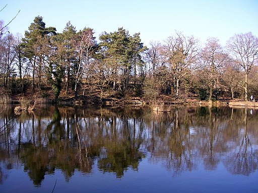 Stockbridge Pond - geograph.org.uk - 1745494