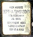 Bertha Simonsohn, Brandenburger Straße 19, Potsdam, Deutschland