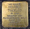 Tökezleyen taş Jenaer Str 21 (Wilmd) Siegfried Tradelius.jpg