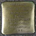 image=File:Stolperstein_Kleiner_Schäferkamp_32_(Frieda_Meiberg)_in_Hamburg-Eimsbüttel.JPG