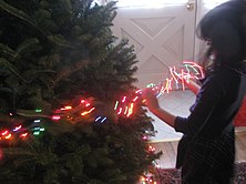 Stringing lights on Christmas tree