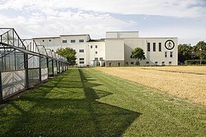 Strubes Firmensitz am Ortseingang in Söllingen. Vor dem Gebäude befinden sich Gewächshäuser, die das Unternehmen zur Züchtung von Zuckerrüben nutzt.