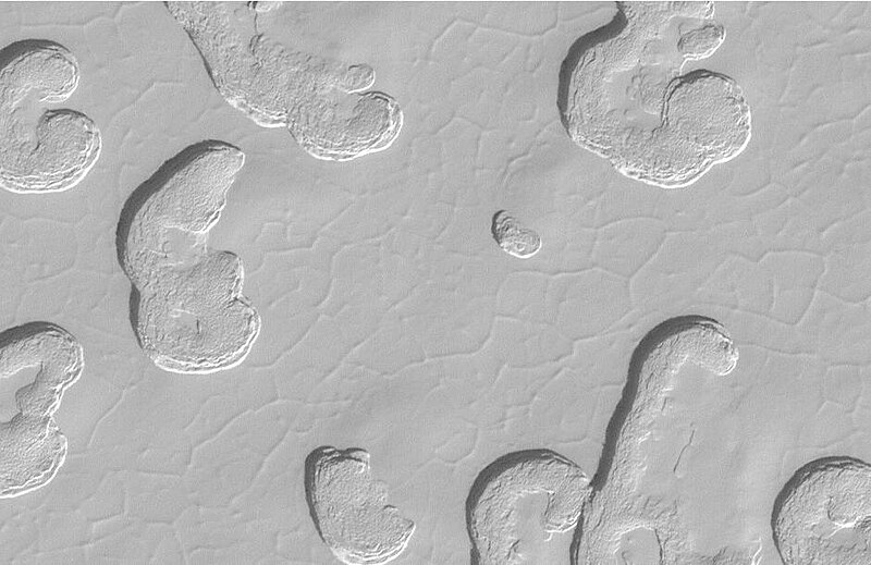 File:Swiss Cheese Terrain close-up.JPG