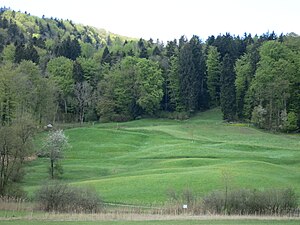 Türlersee: Topografie, Entstehung, Erholung und Naturschutz