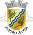 Vlag van Pinheiro de Coja