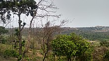 Taleigao-Bambolim plateau