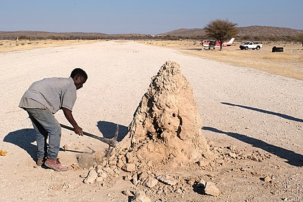 Termite mound as an obstacle on a runway at Khorixas (Namibia)