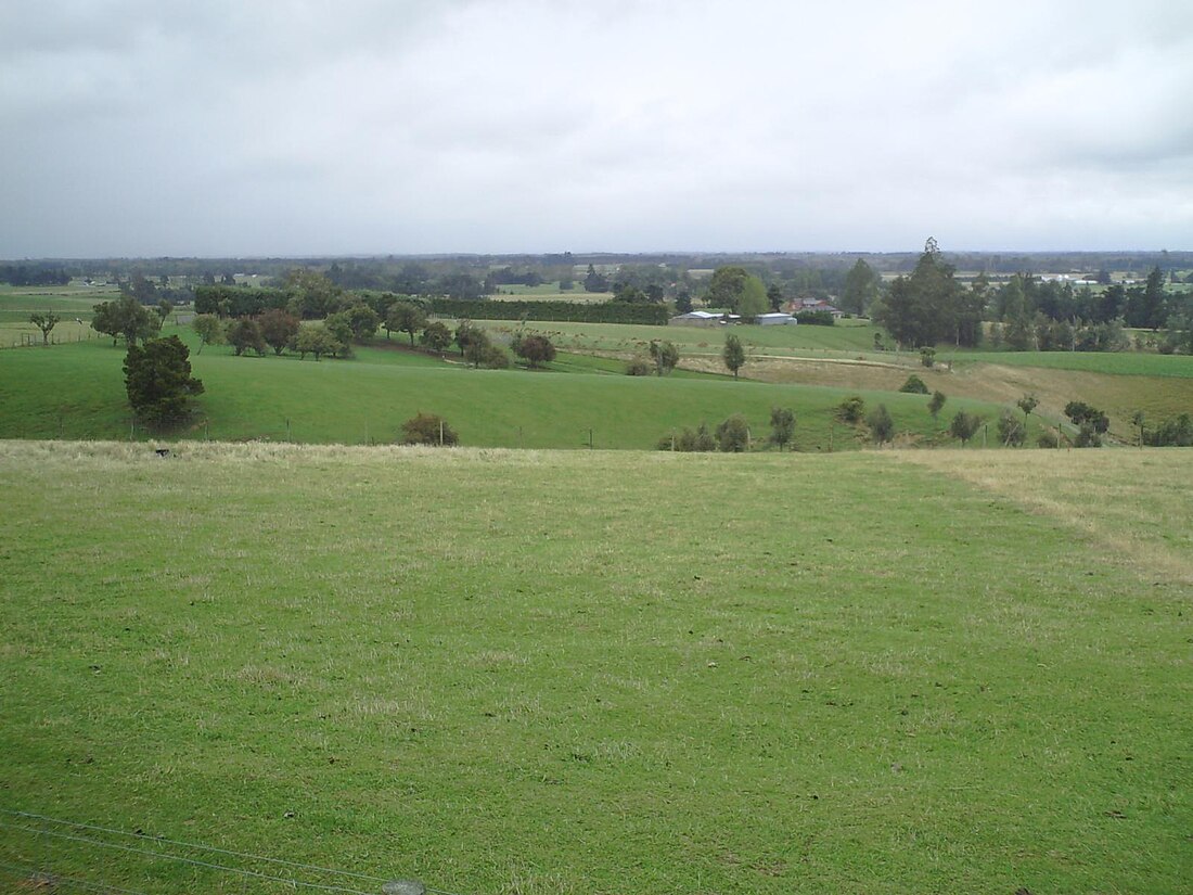 Canterbury Plains