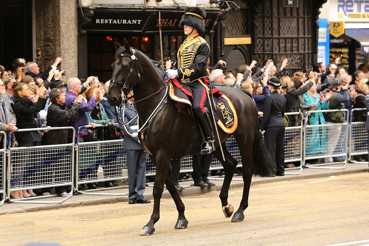 royal horse