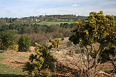 The Old Lodge, Ashdown Forest - geograph.org.uk - 6238.jpg