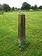 The Rindle Stone, Grindon - geograph.org.uk - 941342.jpg