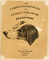 The alphabetical drawing book, and pictorial history. (of quadrupeds (1847) (18106067112).jpg