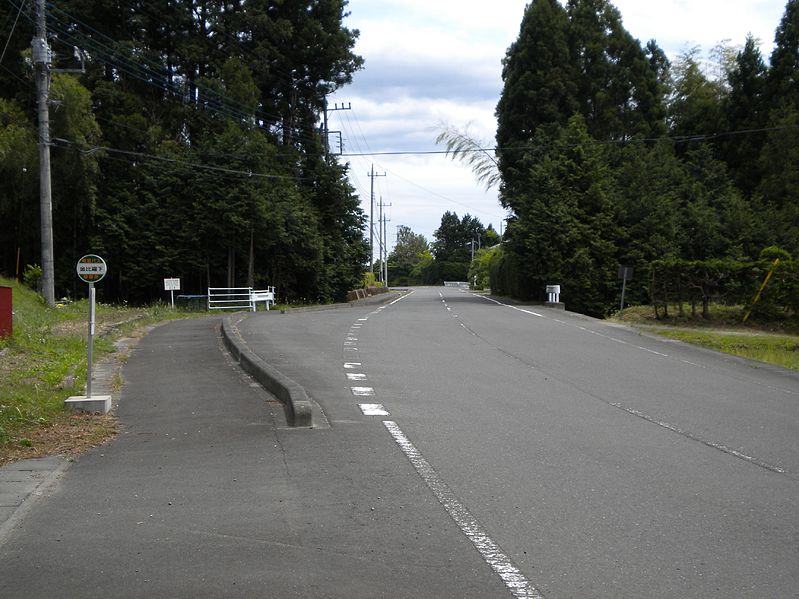 File:Tochigi prefectural road No.273 on Shioya town (2).jpg