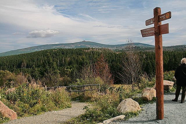 Der Brocken von Torfhaus gesehen