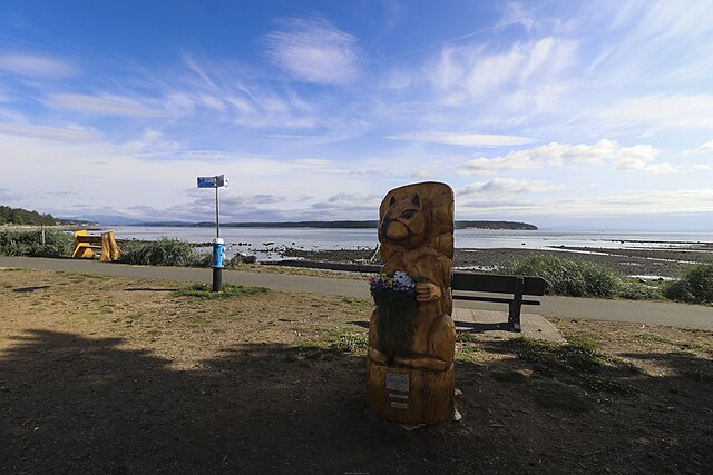 Campbell River Art installation, "Transformation on the shore"