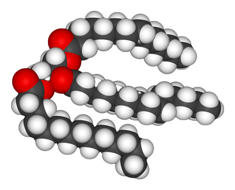 3D model of stearic acid - American Chemical Society