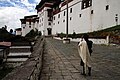 Trongsa-Dzong-138-2015-gje.jpg