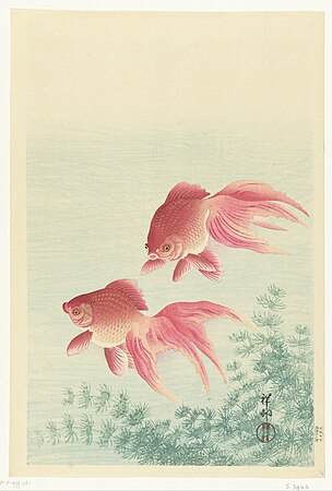 Two Veiltail Goldish, Japanese painting by Ohara Koson, 1900-1930