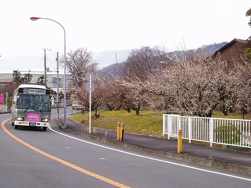 File:U-RJ3HJA Fujikyu M1257 Nakagawara-Bairin.jpg