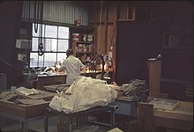 A laboratory in the museum in 1966 UO History Museum.jpg