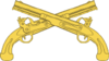 USAMPC-Branch-Insignia.png