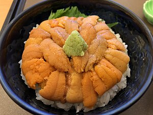 Sea urchin - Wikipedia