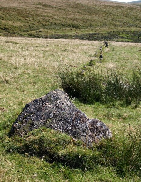 File:Upper Erme stone row - geograph.org.uk - 1485286.jpg