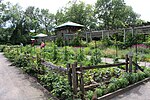 Vignette pour Jardin botanique de Montréal