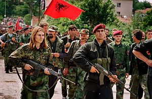 Ushtria Çlirimtare E Kosovës: Fazat e veprimtarisë, Organizimi, Logjistika