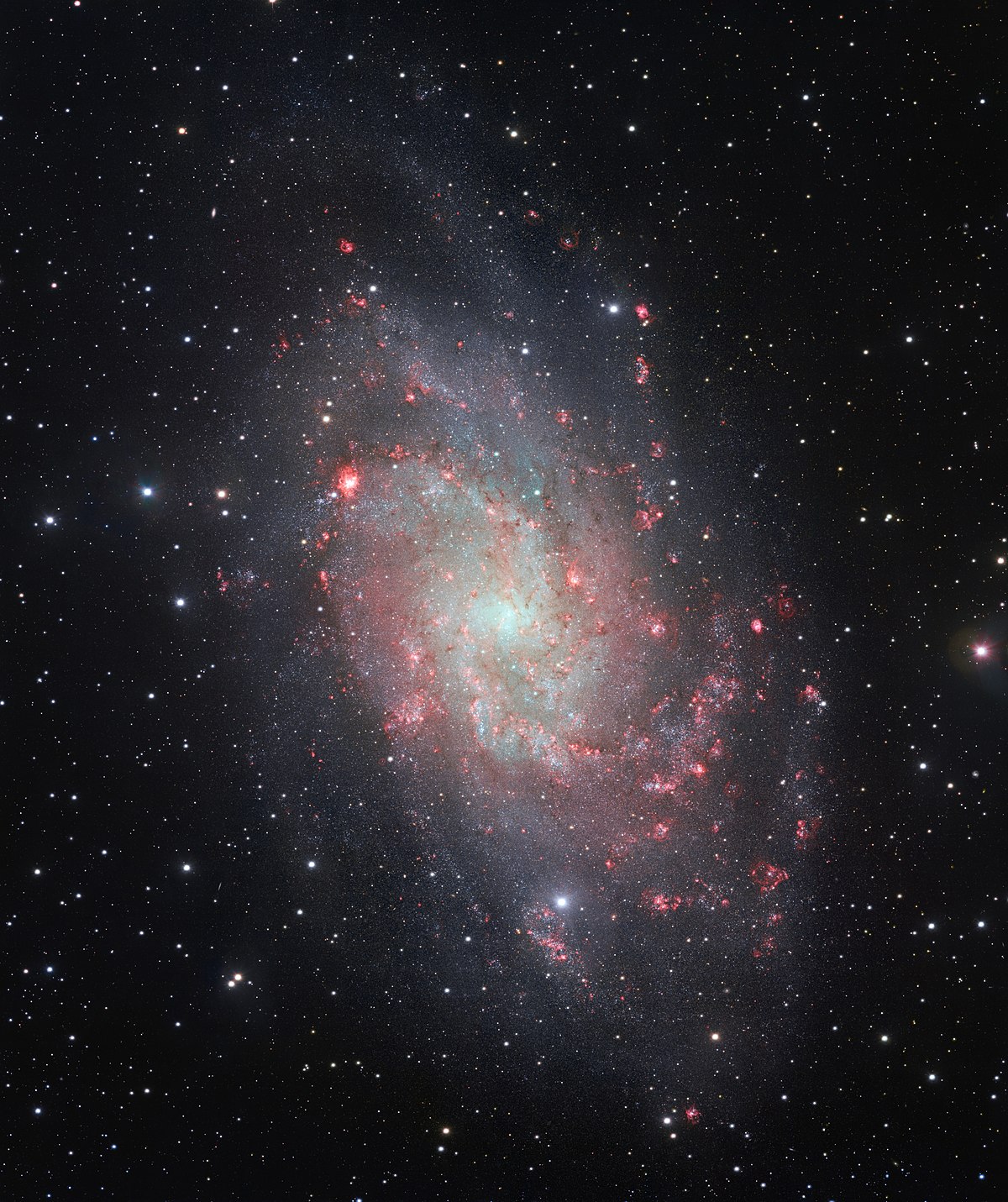 Galaktyka Trójkąta – Wikipedia, wolna encyklopedia