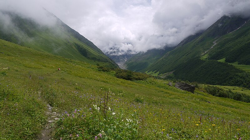 File:Valley of Flowers (7752920614).jpg