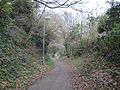 Old Shute, Ventnor, Isle of Wight, seen near Ocean View Road, looking in the direction towards Newport Road.