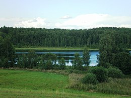 Veselavos ežeras iš pietų