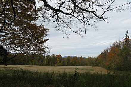 View of Mt. Greylock from Arrowhead