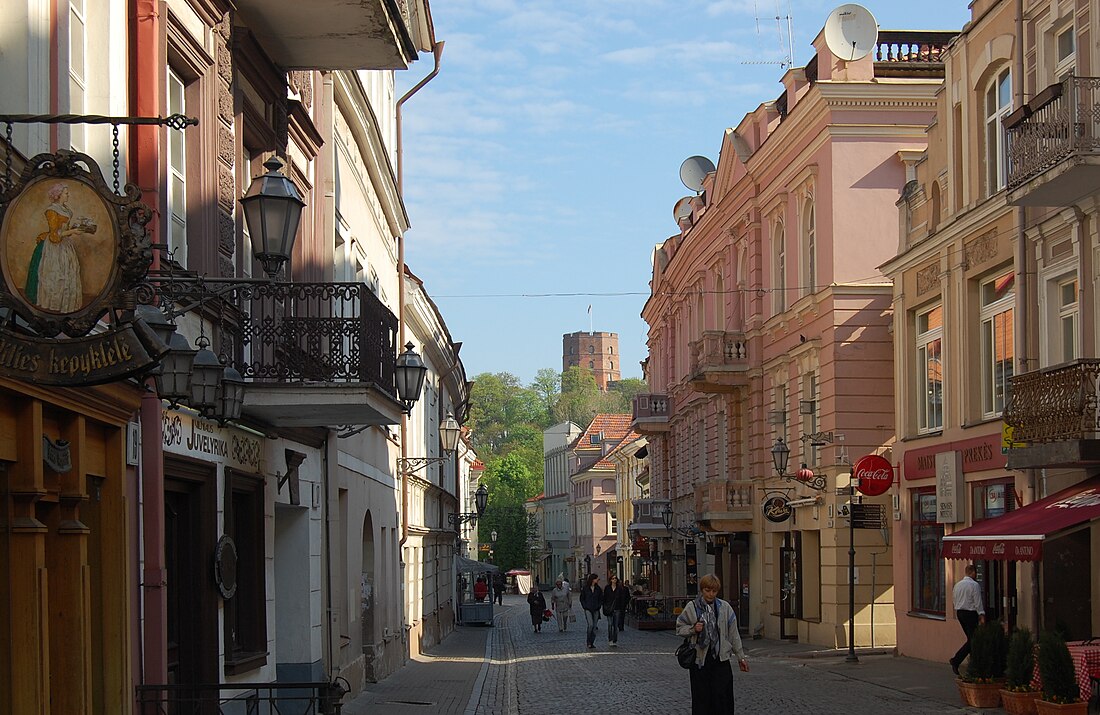 File:Vilnius Pilies street.jpg