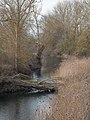 * Nomination The Zadorra river at Abetxuko. A fallen tree by stormy winds. Vitoria-Gasteiz, Basque Country, Spain --Basotxerri 18:58, 23 February 2017 (UTC) * Promotion Good quality. --Uoaei1 19:50, 23 February 2017 (UTC)