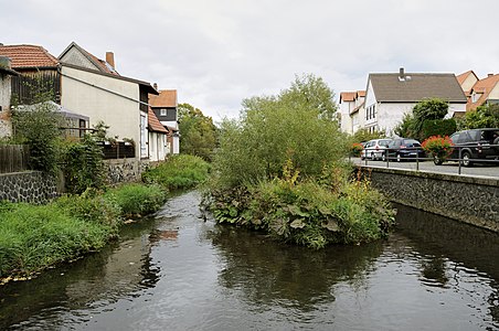 from bank to bank (river Lauter)