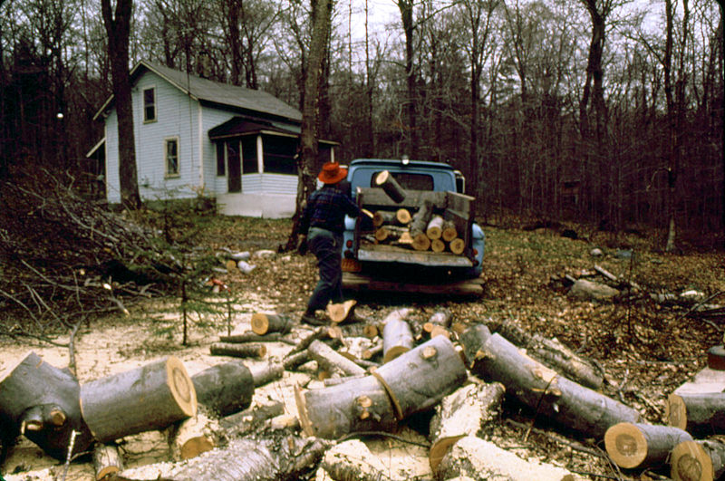 File:WOODSMAN AT BIG MOOSE UNLOADING HARDWOOD LOGS (MOSTLY BEECH) TO BE SAWED AND SPLIT FOR FIREWOOD - NARA - 554411.jpg