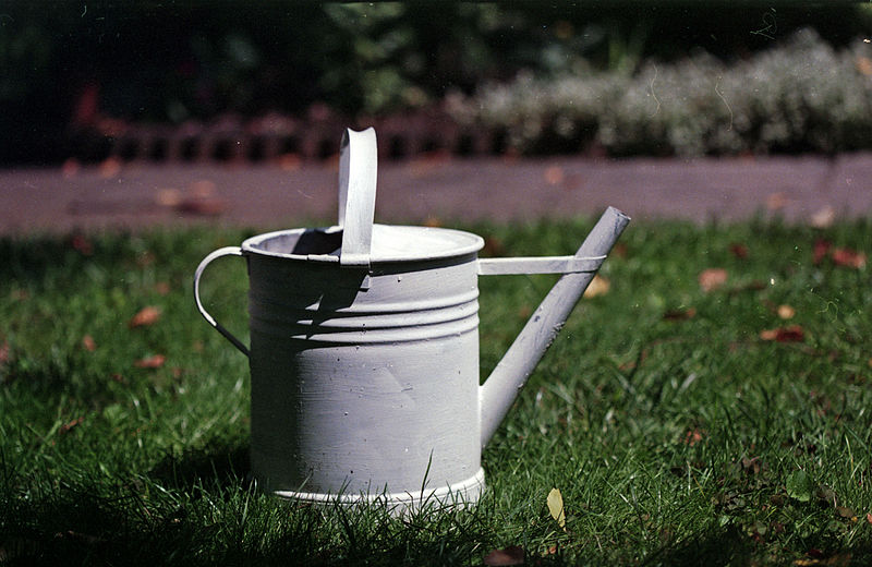 File:Watering can (14811313052).jpg