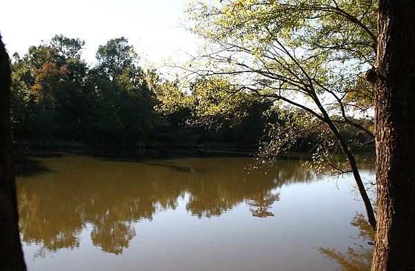 Wee Tee Lake, an oxbow of the Santee River valley, SC.