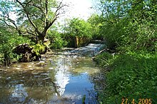 Weir on Cobbins Brook at Warlies Park, Upshire.