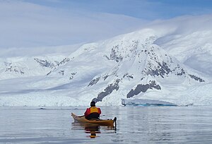 Whale watching from a kayak in Wilhelmina Bay