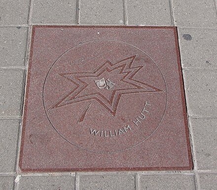 Памятные звезды. Робин Уильямс звезда на аллее славы. Аллея славы в Канаде. Звезда Шрека на аллее славы. Аллея славы Торонто.