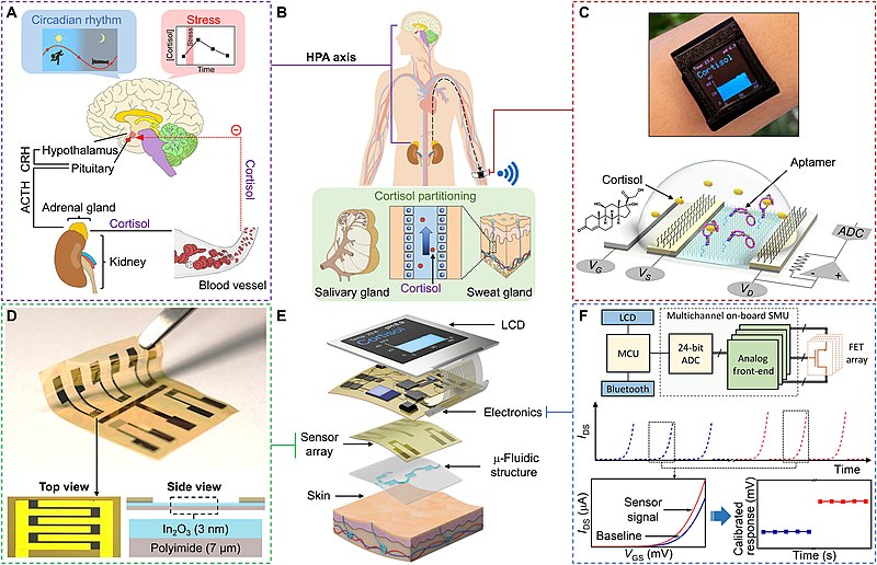 File:Wireless and wearable aptamer-FET sensing system for on-body sweat analysis.jpg