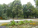 Wittelsbacher Park (Hof)