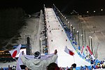 Pienoiskuva sivulle Freestylehiihto talviolympialaisissa 2006