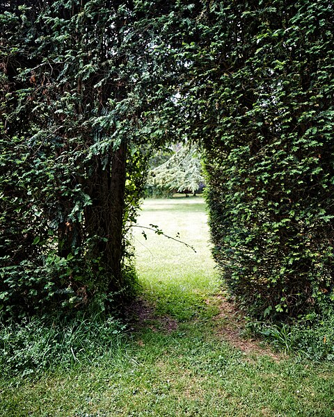 File:Yew hedge arch Easton Lodge Gardens, Little Easton, Essex, England 05.jpg