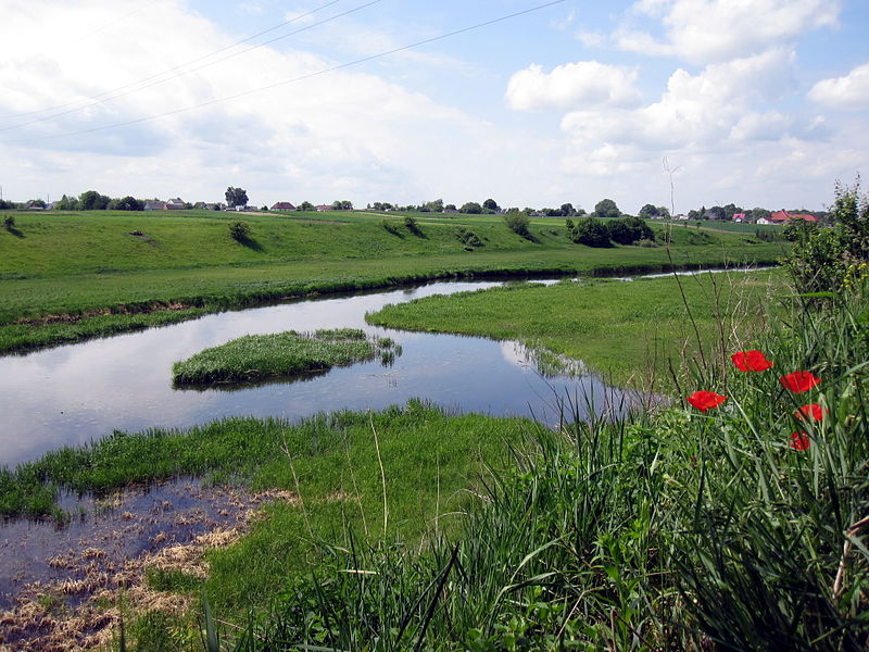 File:Zarichchia Vol-Volynskyi Volynska-Luga zakaznyk-view from Fedorivka-1.jpg