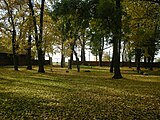 Ziemiełowice Palace English landscape garden